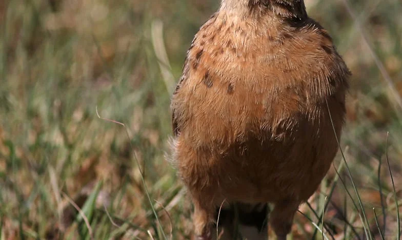 Mieszkanie po ojcu, którego nigdy nie znałam – a teraz mama żąda połowy. Czy to sprawiedliwe?
