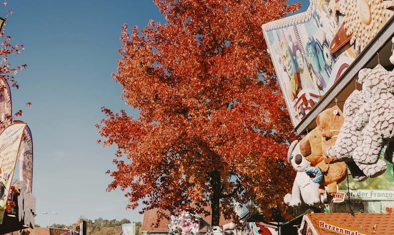 Po 35 Latach Małżeństwa Nasz Świat Się Rozpadł: Historia Ostatniej Wspólnej Wigilii i Ciszy, Która Wszystko Zmieniła