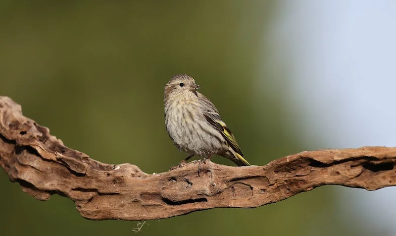 A férjem szerint rosszul vezetem a háztartást – egy beszélgetés után az anyósommal minden megváltozott