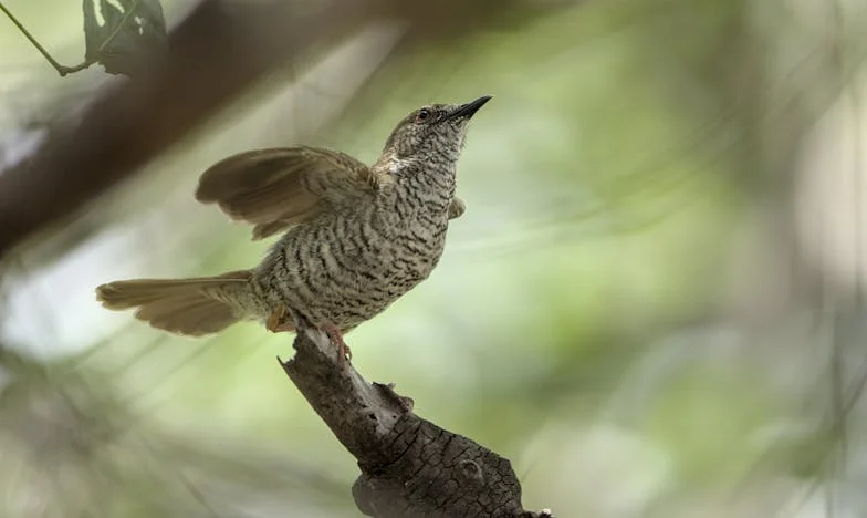 A lányom már nem az, akit ismertem: Egy anya vallomása a családi széthullásról