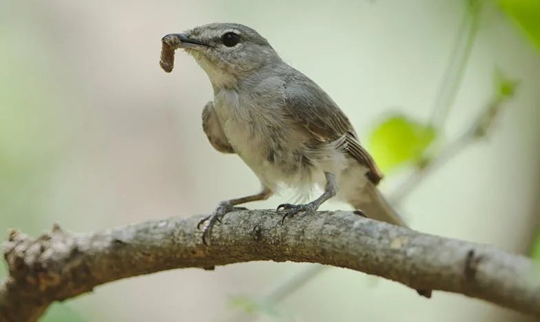 A testvérem felesége elhidegült: Egy család útja a megértéshez és összetartáshoz