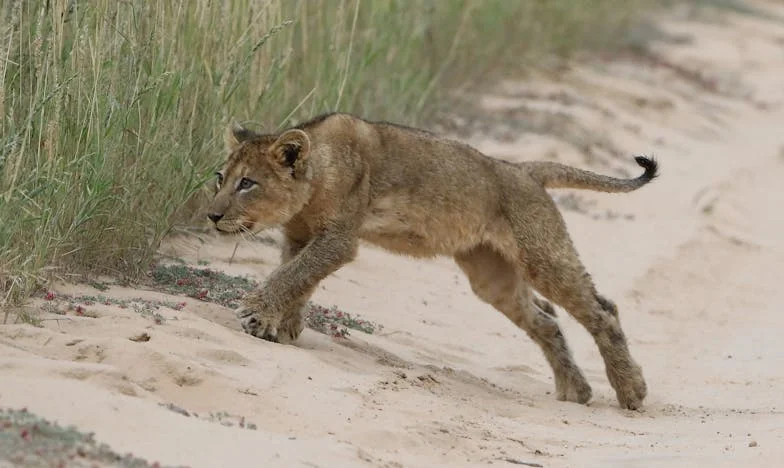 Amikor hazatértem a kórházból, idegen nő ült a kanapémon – Egy magyar feleség vallomása árulásról és családról