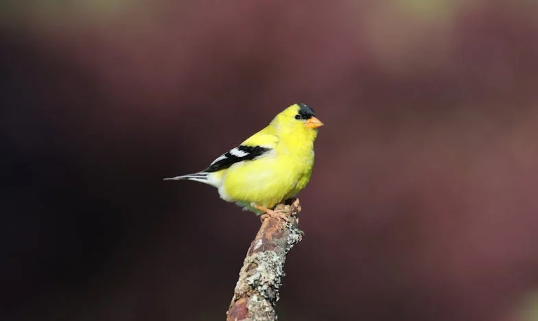 Az én gyermekem vagy? – Egy anya szíve kettészakad