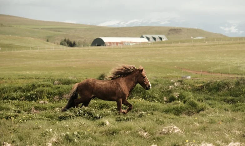 Elfelejtett vacsora – Egy anya csendes harca