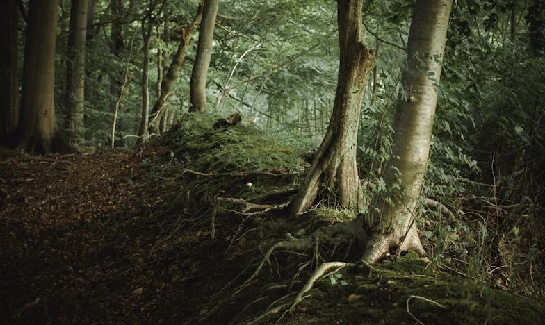 Hazatérés a szerelemmel: Fiam haragja mindent megváltoztatott