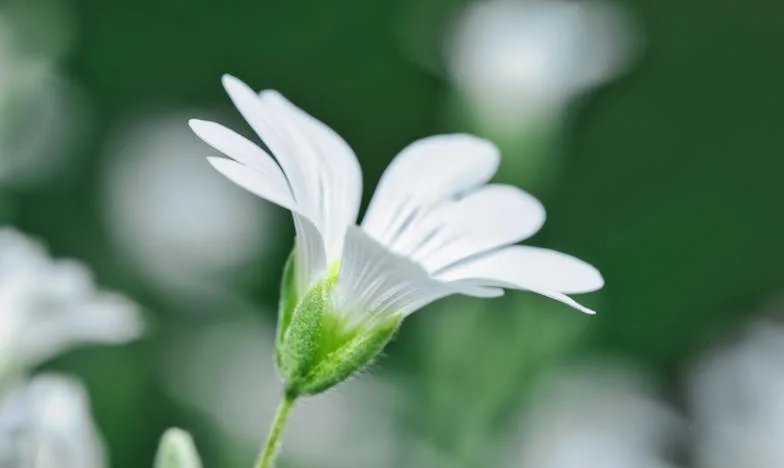 Hit és család: Amikor a fiam lakáshitelt kért tőlem