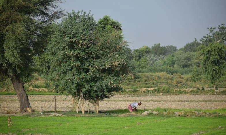 Kívülállóként az iskolában – Egy tetovált anya története