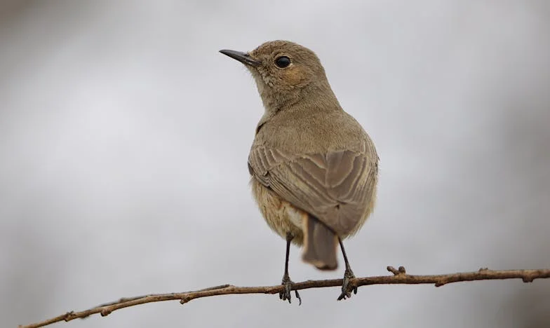 Miért Mondta a Fiam, Hogy Nem Vagyok Meghívva az Esküvőjére? – Egy Anya Szíve és a Holnap Ígérete