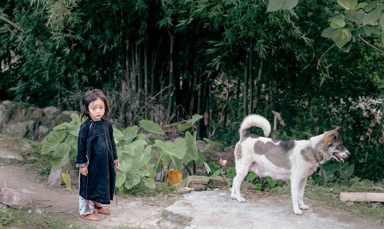 Szerelem határok nélkül: Egy falusi fiú és egy városi lány története a magyar valóságban