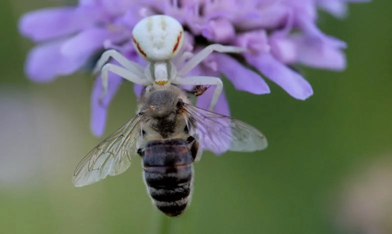 Tárgyalás a csendben – Egy anya harca a felnőtt fia boldogságáért