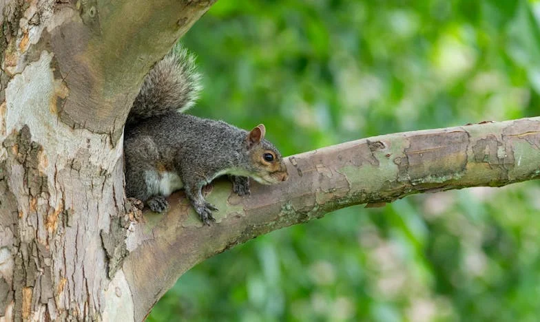 Újrakezdés: Hogyan találtunk harmóniára, miután elköltöztünk anyósomtól
