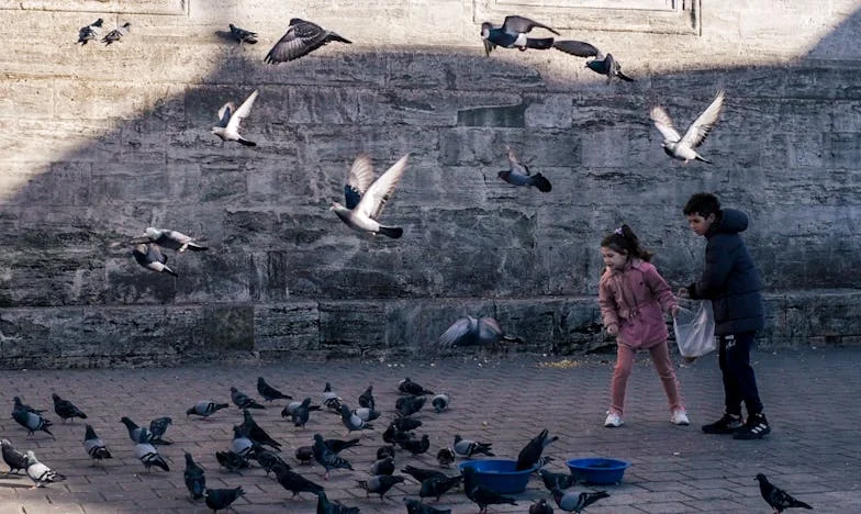 A bátyám és a felesége beköltöztek – most mindenki azt várja, hogy én menjek el