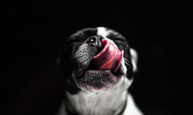 A csend évfordulója: Amikor a gyerekeink távol maradtak