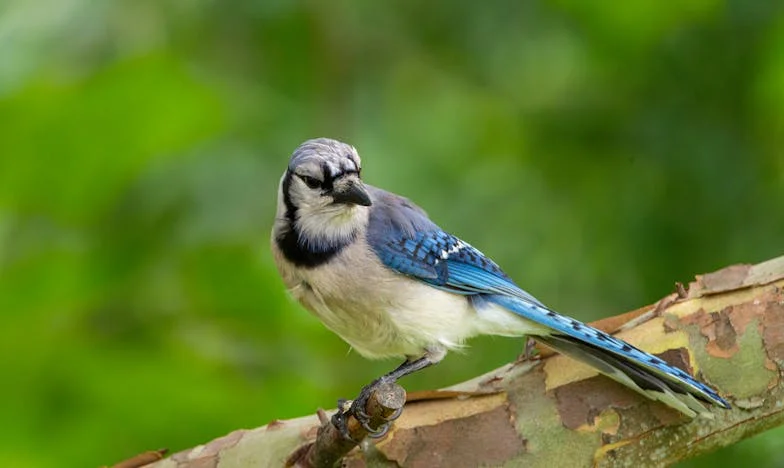 A férfiak az életemben – Választások és következmények