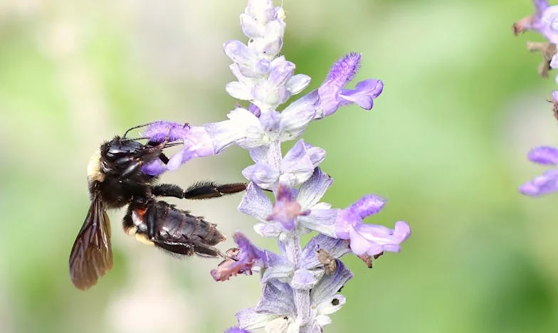„A házért cserébe most te vigyázol rá” – Egy unoka dilemmája a családi örökség árnyékában