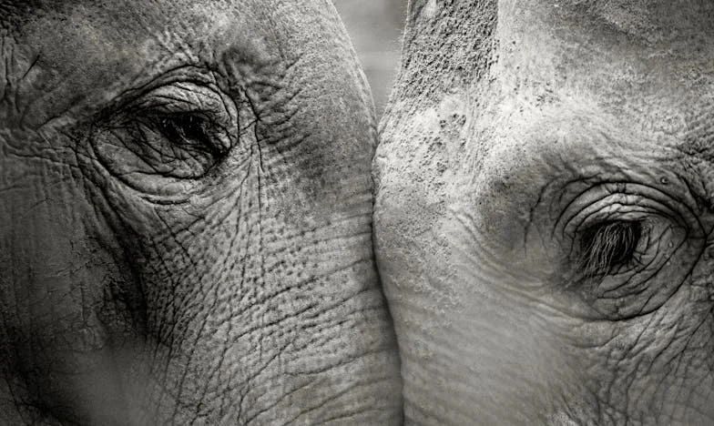 A magány ára: Egy nagymama, egy titok és a család árnyéka