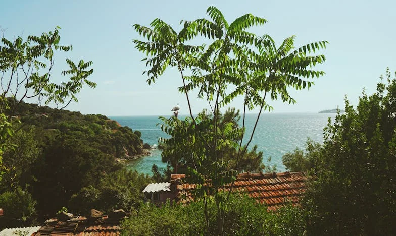 A Megfeleletlen Szívek Rejtélye: Szeretet, Választás és Veszteség története