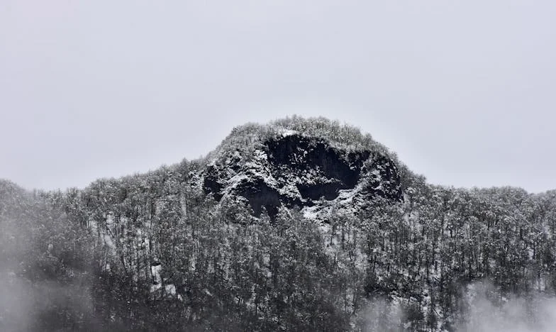 A meglepetés, amit sosem akartam – Egy anya és lánya harca a szabadságért