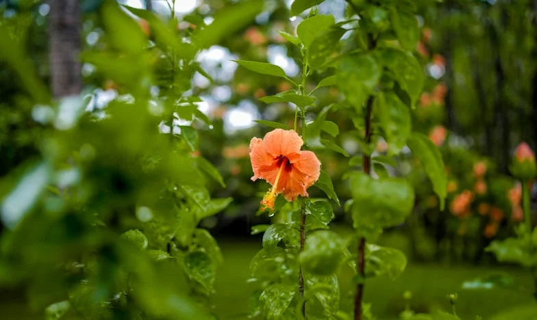 „A te volt férjed tartsa el a gyerekeidet!” – Egy mozaikcsalád harca a szeretetért és egységért
