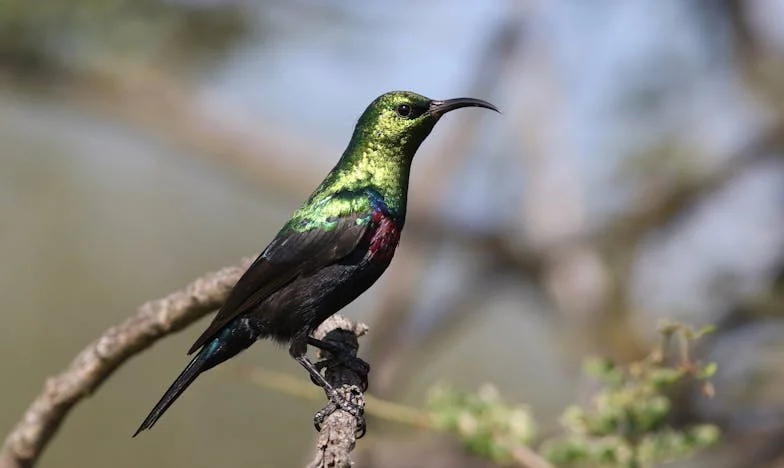 Amikor a családi kötelékek fojtogatnak: Egy pesti család története