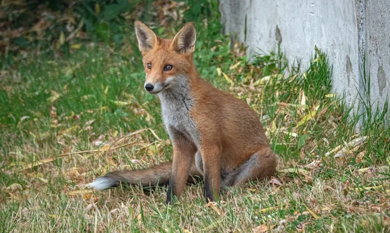 Amikor a vejem megfordította a napomat – Egy anya vallomása