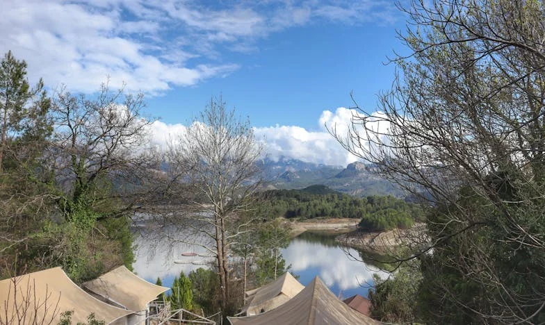 Amit a tehetetlenség tanított: Egy magyar család története anyósom betegsége árnyékában