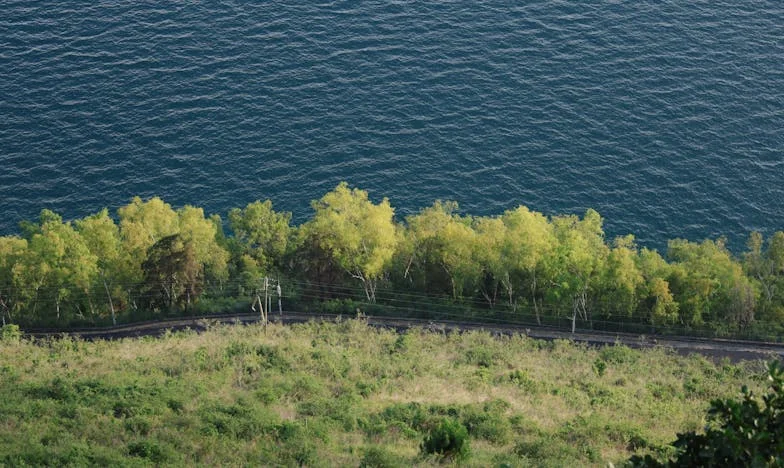 „Anya, kérlek, ne gyere el az esküvőmre” – Egy anya vallomása a családi elidegenedésről