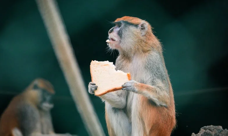 „Anyám fia vagy a férjem?” – Egy házasság árnyékában