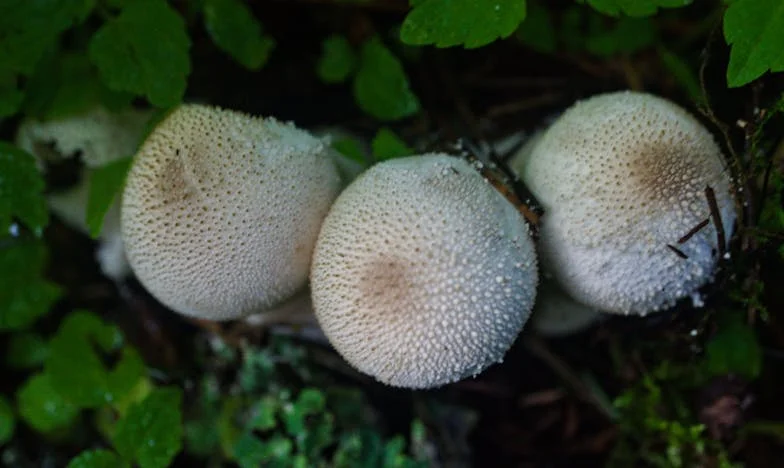 „Anyám szerint a férjem kudarc – de vajon tényleg az?”