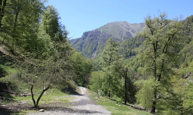 Az a hívás, ami mindent megváltoztatott – Egy fiú apakeresése a magyar valóságban