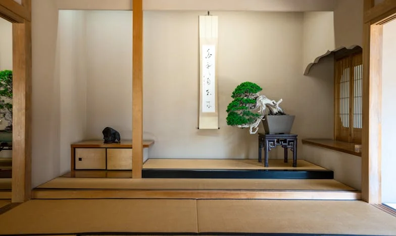 Az elveszett pénztárca titka – Egy családi múlt árnyékában