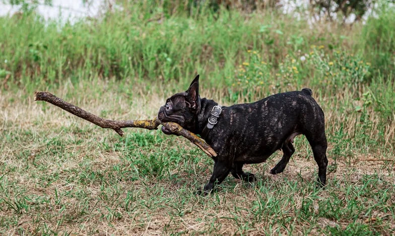 „Az én férjem nem fogja a te házadat felújítani” – Egy családi háború története