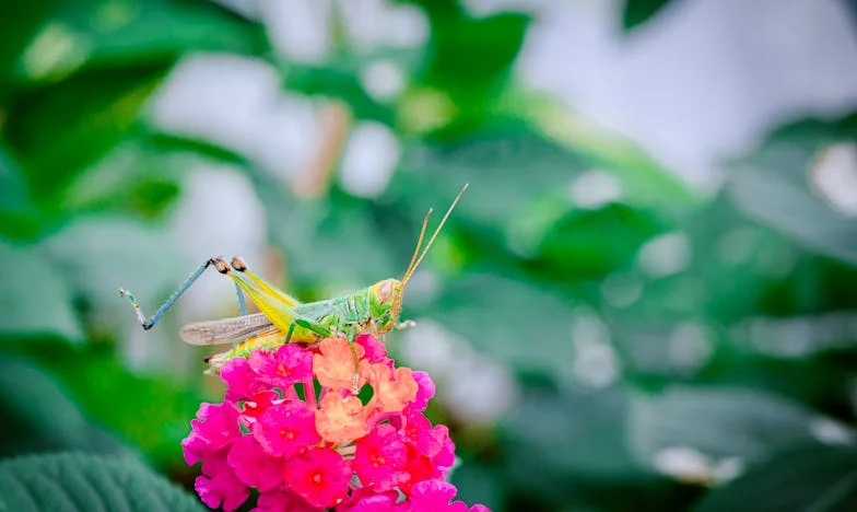 Az igazság ára – Egy családi titok története