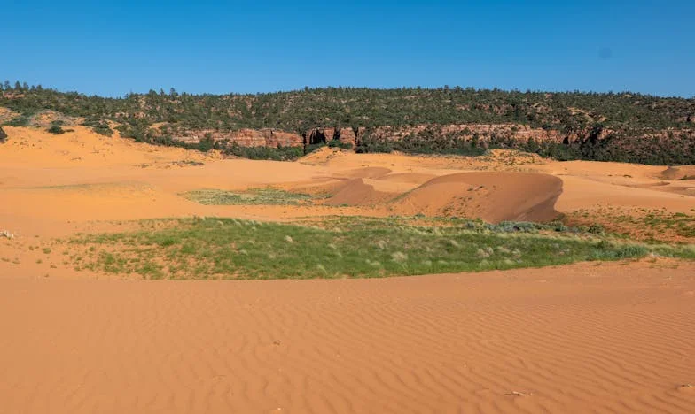 Az utolsó esély – Egy ápolónő szíve és veséje