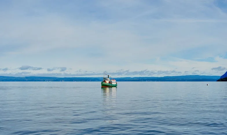 Beszéljünk, fiam – Egy magyar család titkai és sebei