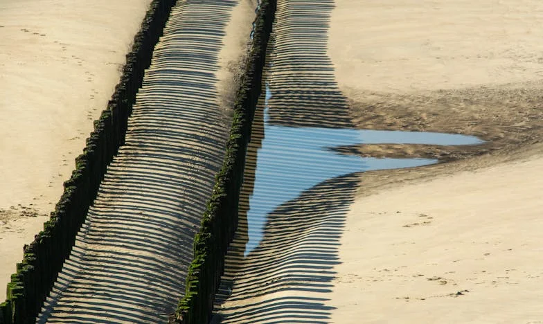 Családi elvárások hálójában: Hogyan segítettem a fiamnak, hogy önálló életet élhessen