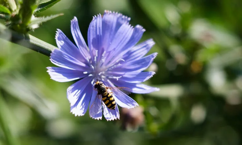 Csoda a kórteremben: Lilla ébredése húsz hónap után