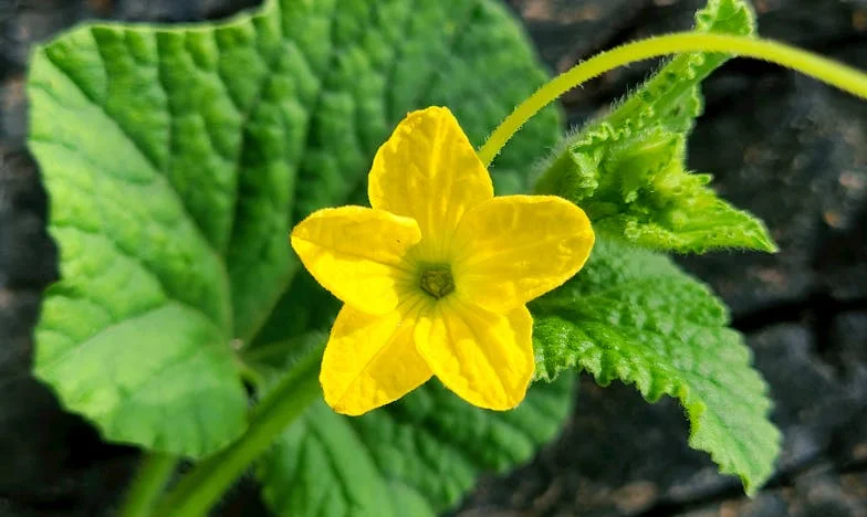 Dávid Egyedül Utazik – Hogyan Tanított Meg Mia Arra, Mi Az Igazi Család