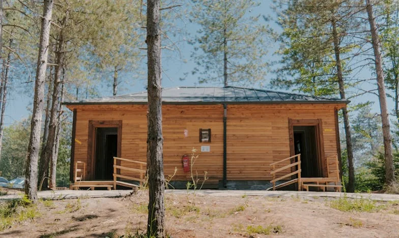 Egy anya áldozata – Amikor a szeretet ára túl magas