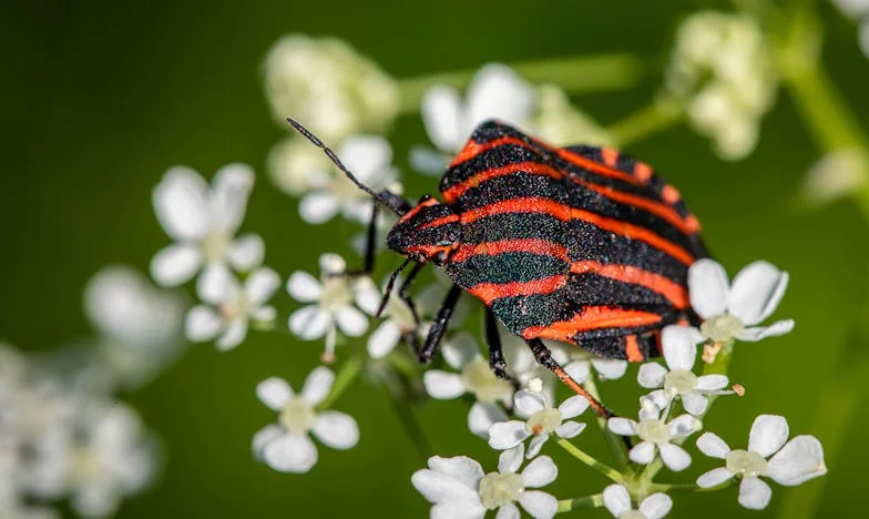 Egyedül a Balatonon: Amikor a család haragja mindent eláraszt