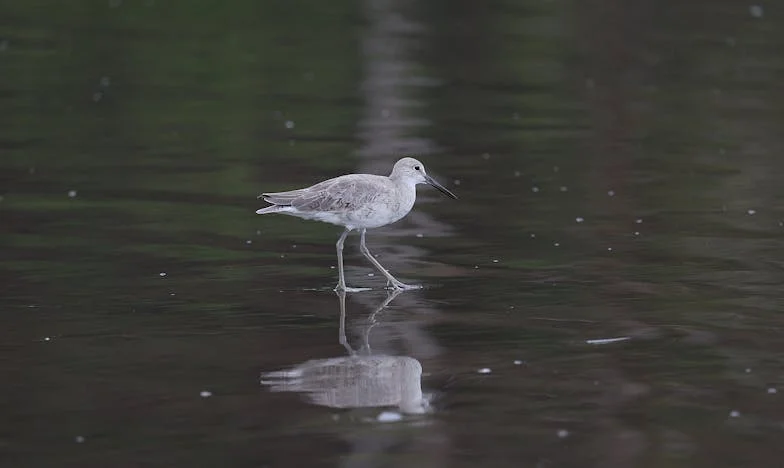 Egyedül a boldogságban: Judit története a második esélyről