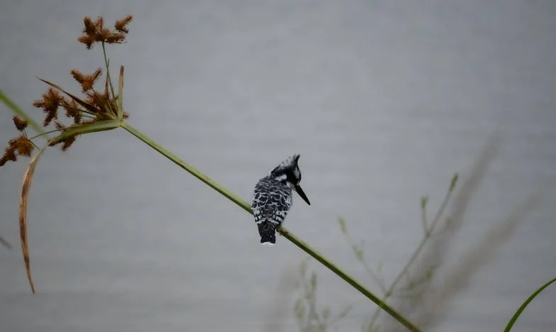 Elengedés egy hűtlen férj árnyékában – Egy anya vallomása