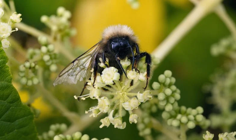 Elfelejtett évforduló – Egy házasság határán