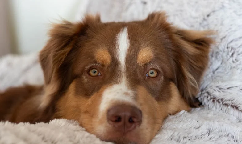 Három hónap csend: Egy nyaralás ára – avagy hogyan haragítottuk magunkra anyósomat