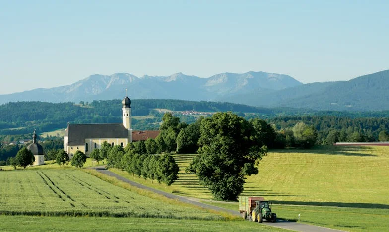 Hetvenedik születésnapom magányban: Hogyan veszítettem el a fiamat, Gábort