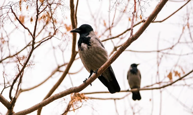Hitem és türelmem próbája: Együttélés az anyósommal