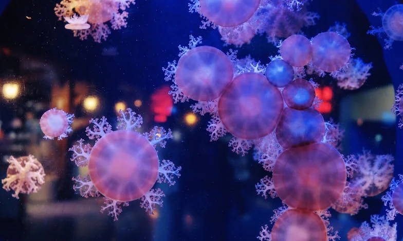 Két család között: Hogyan magyaráztam el az új páromnak, hogy az exem anyósával való barátságom ártatlan