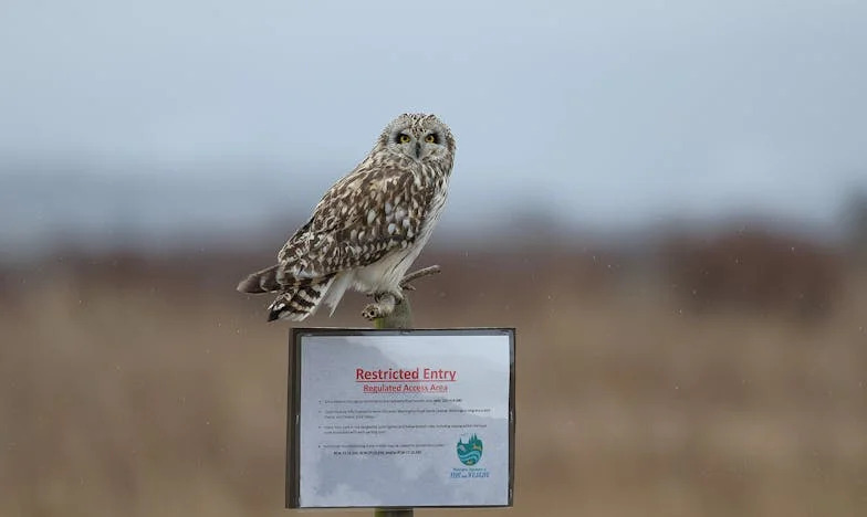 Ki tanította az unokámat arra, hogy „öregasszony”-nak hívjon? – Egy nagymama harca a tiszteletért