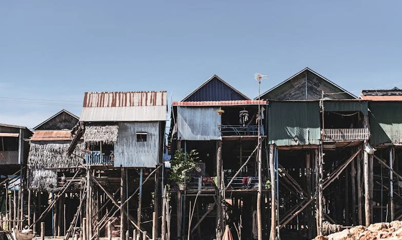 Kővirágok a betonon – Egy magyar család széthullása és újjászületése