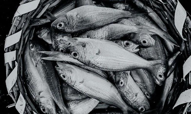 Második esély: Egy magyar nő útja a csalódástól az önmagára találásig